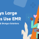 8 Ways Large Clinics Use EMR Challenges & Shotgun Solutions